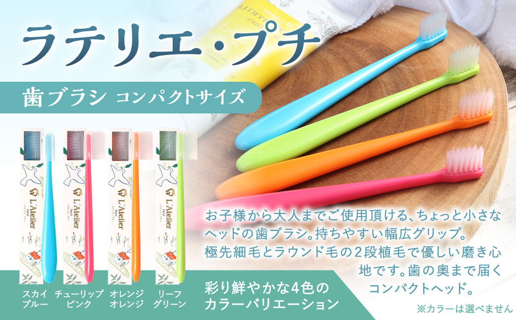 歯医者さんが考案した歯ブラシセット（ラテリエ×10本、ラテリエ・プチ×10本）