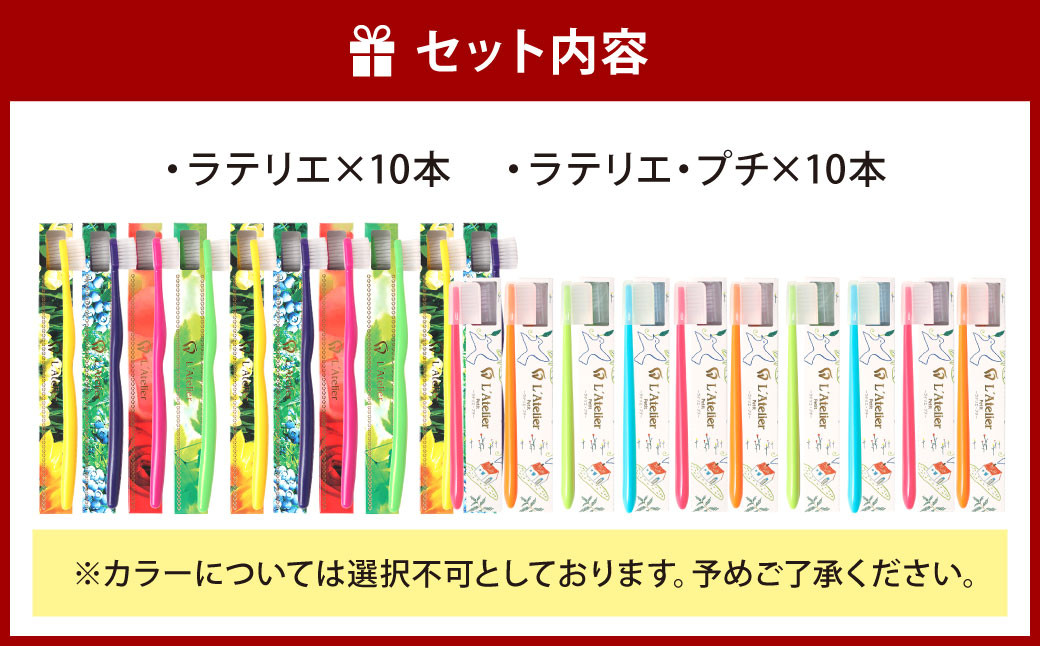 歯医者さんが考案した歯ブラシセット（ラテリエ×10本、ラテリエ・プチ×10本）