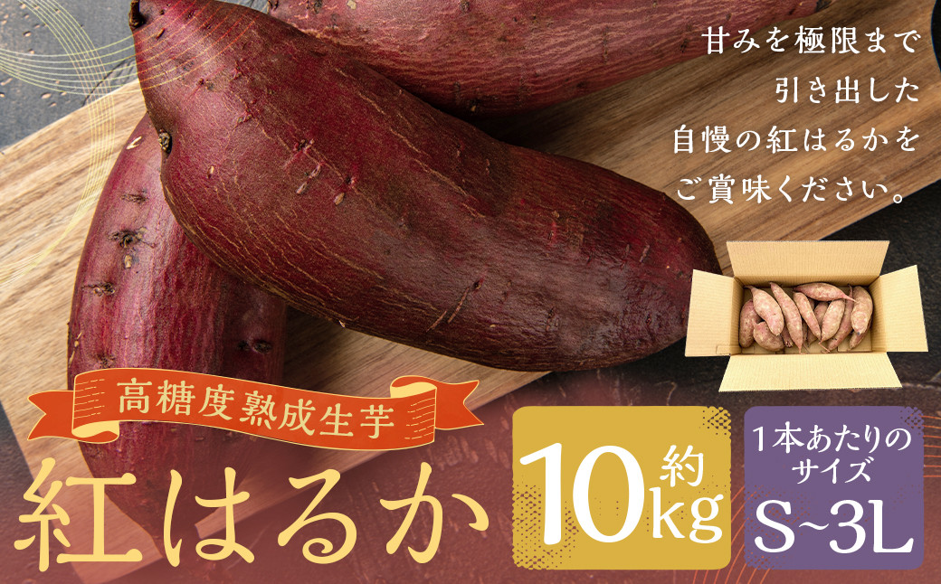 熊本県産 熟成高糖度 紅はるか 熟成生芋10kg