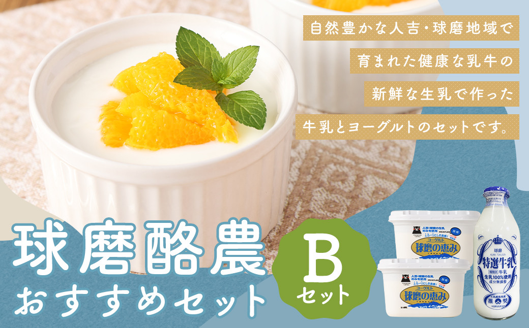 球磨酪農おすすめセットB(瓶牛乳&ヨーグルト加糖×2個)