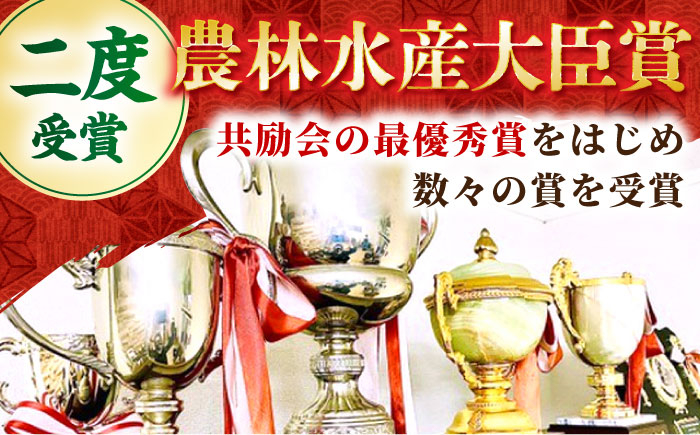 佐賀牛 ヒレ 2種 食べ比べ A（ ヒレサイコロ ・ ヒレステーキ ）計450g 【田中畜産牛肉店】 [HBH157]