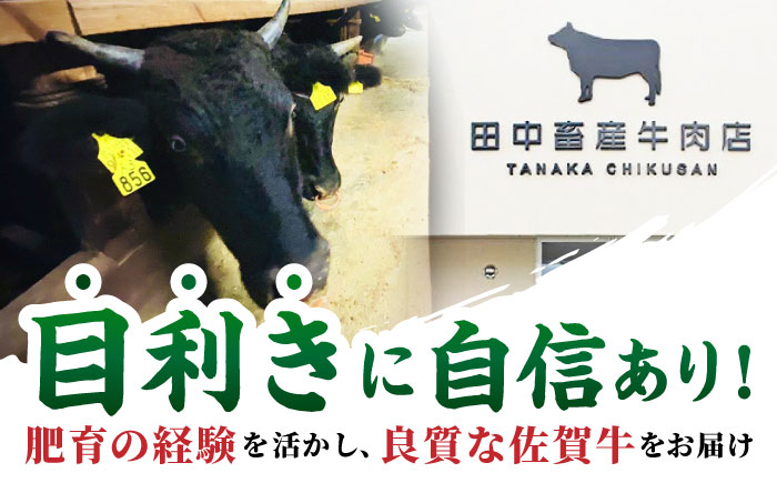 佐賀牛 ヒレ 2種 食べ比べ A（ ヒレサイコロ ・ ヒレステーキ ）計450g 【田中畜産牛肉店】 [HBH157]