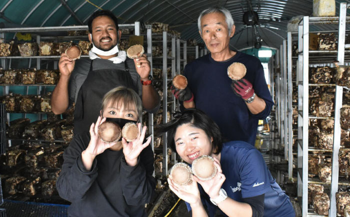 国産 生　椎茸 しいたけ シイタケ 1kg