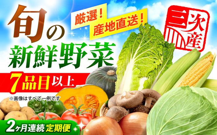 野菜 セット 詰め合わせ やさい きのこ 旬 食材 新鮮 季節の野菜 産地直送