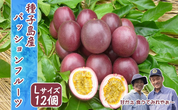 大粒の立派なサイズのきれいなパッションフルーツが届きます！甘いのがお好きな方は、常温で追熟してシワが出てきてから、どうぞ！