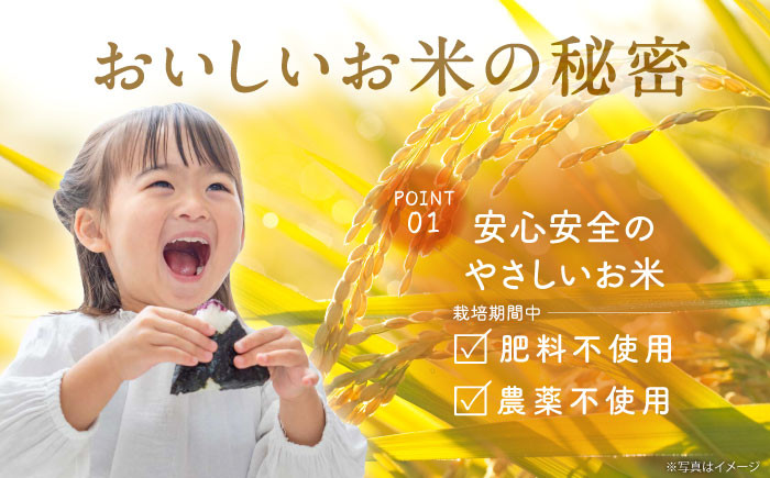 【全3回定期便】栽培期間中農薬不使用 農家のおいしいお米 ヒノヒカリ 15kg 浅田峠自然塾