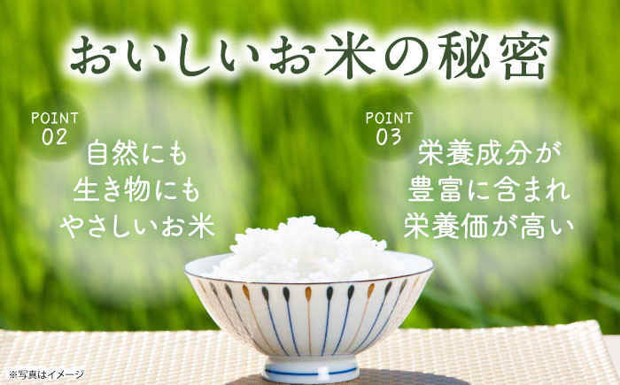 栽培期間中農薬不使用 農家のおいしいお米 ヒノヒカリ 10kg（5kg×2袋） 浅田峠自然塾