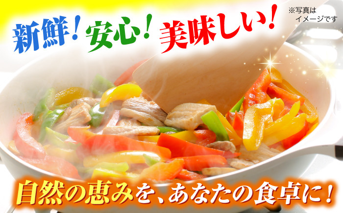 野菜 セット 詰め合わせ やさい きのこ 旬 食材 新鮮 季節の野菜 産地直送