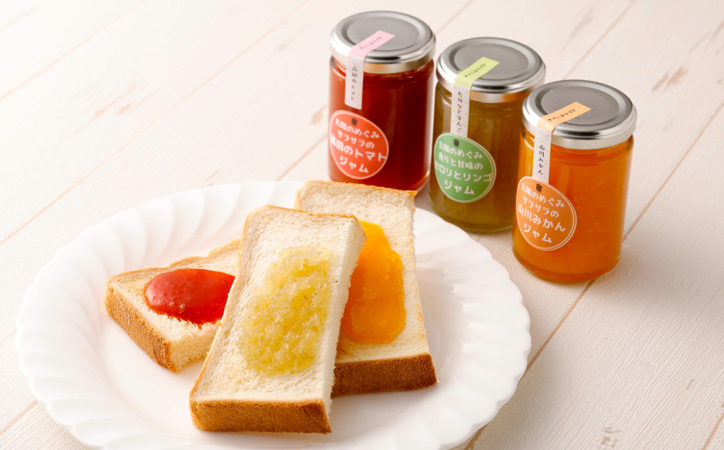 【3ヶ月定期便】 太陽の恵み みやまのジャムのセット 3本入