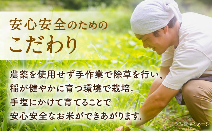 【全3回定期便】栽培期間中農薬不使用 農家のおいしいお米 ヒノヒカリ 15kg 浅田峠自然塾