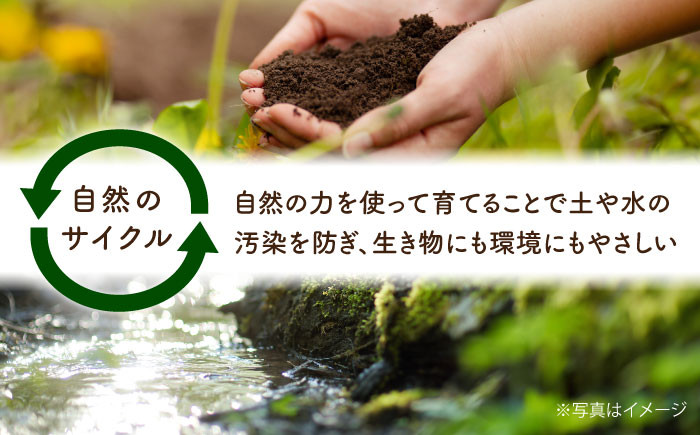 【全3回定期便】栽培期間中農薬不使用 農家のおいしいお米 ヒノヒカリ 15kg 浅田峠自然塾