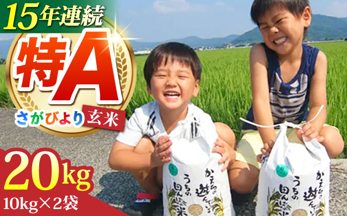 さがびより 玄米 20kg ( 10kg×2袋 ) 【ひなたむらのお米】 [HAC005] 米 佐賀 佐賀県産 特A評価 玄米