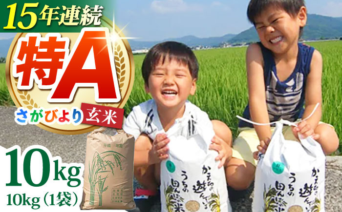 さがびより 玄米 10kg【ひなたむらのお米】 [HAC004]米 佐賀 佐賀県産 特A評価 特A米 玄米 新米