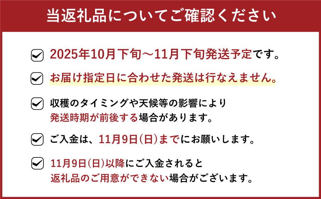 福岡県産 博多甘うぃ 約1.4kg 大玉9玉入り キウイ フルーツ