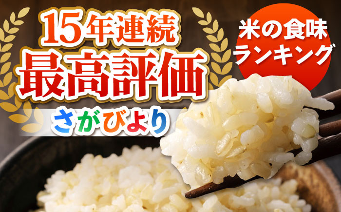 さがびより 玄米 10kg【ひなたむらのお米】 [HAC004]米 佐賀 佐賀県産 特A評価 特A米 玄米 新米