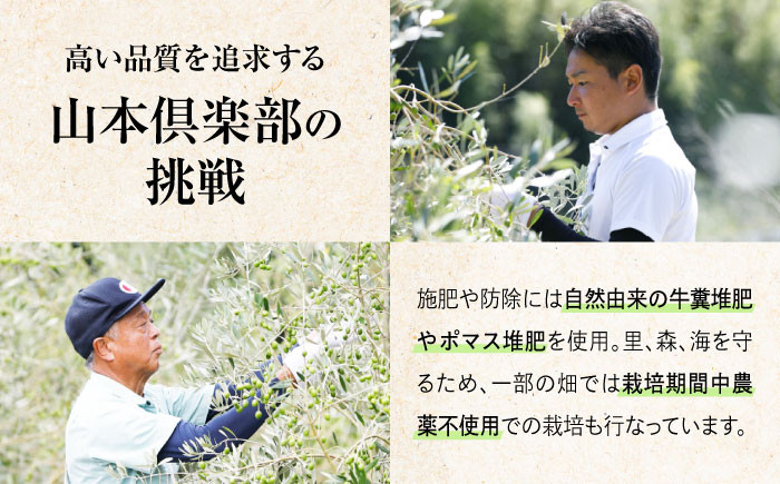 オリーブオイル エキストラバージン 油 国産 広島県産 贈答 ギフト オリーブオイル