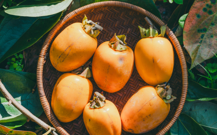 柿 西条柿 干し柿 高級 プレミアム デザート セット 島根 松江 おすすめ 人気