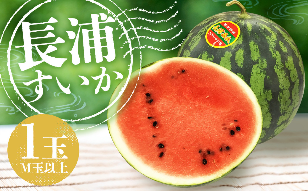 長浦すいか（M玉以上）1玉