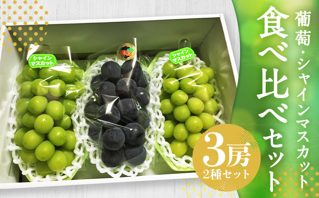 ぶどう食べ比べセット！ シャインマスカット2房、葡萄1房 計3房