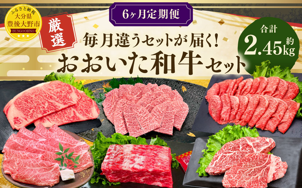 【6ヶ月定期便】毎月違うセットが届く！おおいた和牛セット 合計約2.45kg 1回あたり約400g～約450g