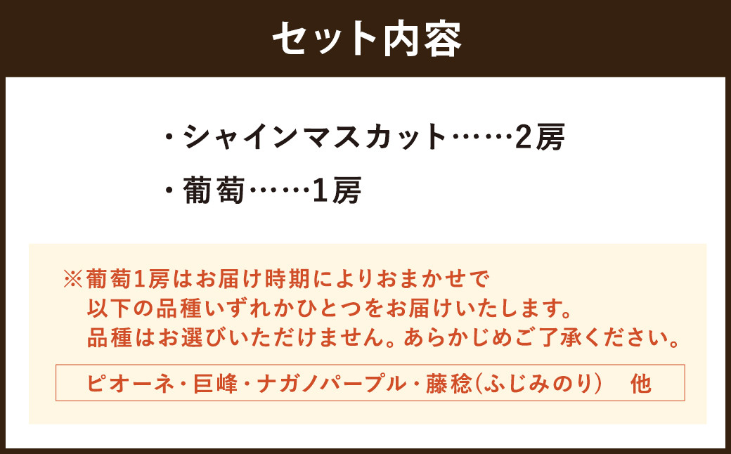ぶどう食べ比べセット！ シャインマスカット2房、葡萄1房 計3房