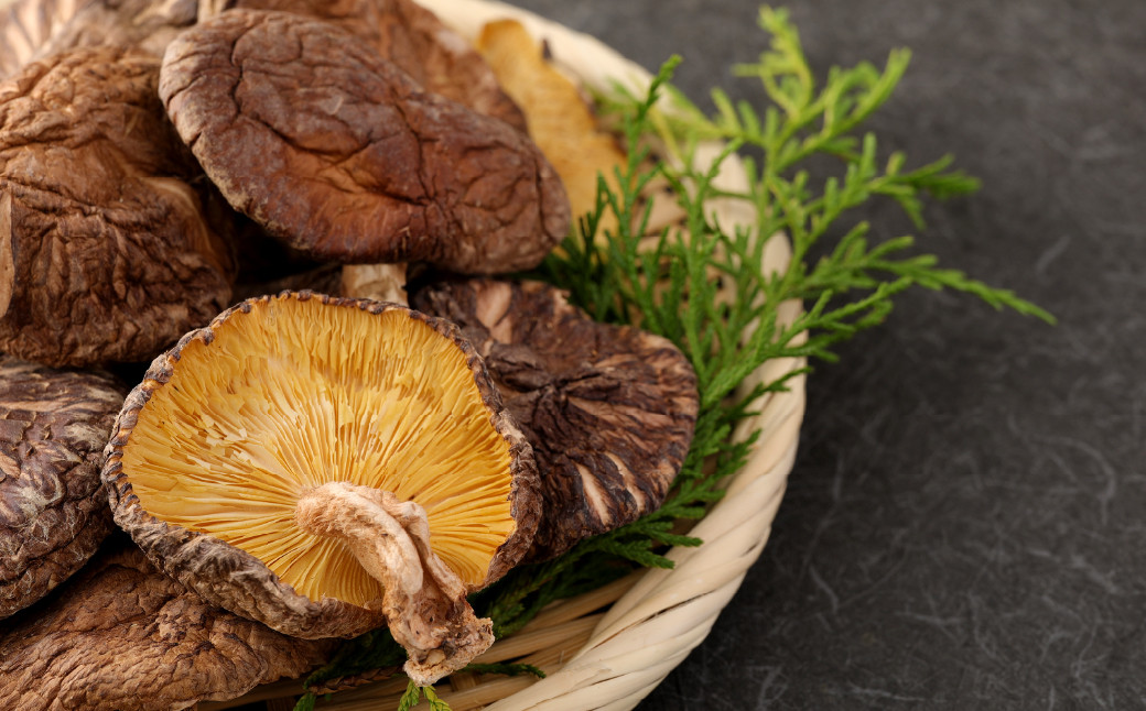 大分産椎茸こうしん 約900g（約50g×18袋）