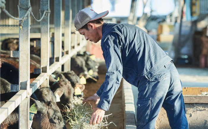 佐賀県産和牛 和牛 国産牛 ロールステーキ ステーキ 個包装 小分け 焼肉 牧場 記念日 お祝い 贈り物 ギフト プレゼント