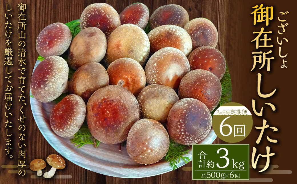 【2ヶ月毎 6回定期便】御在所肉厚生しいたけ 計約3kg 1回あたり約500g(計6回)