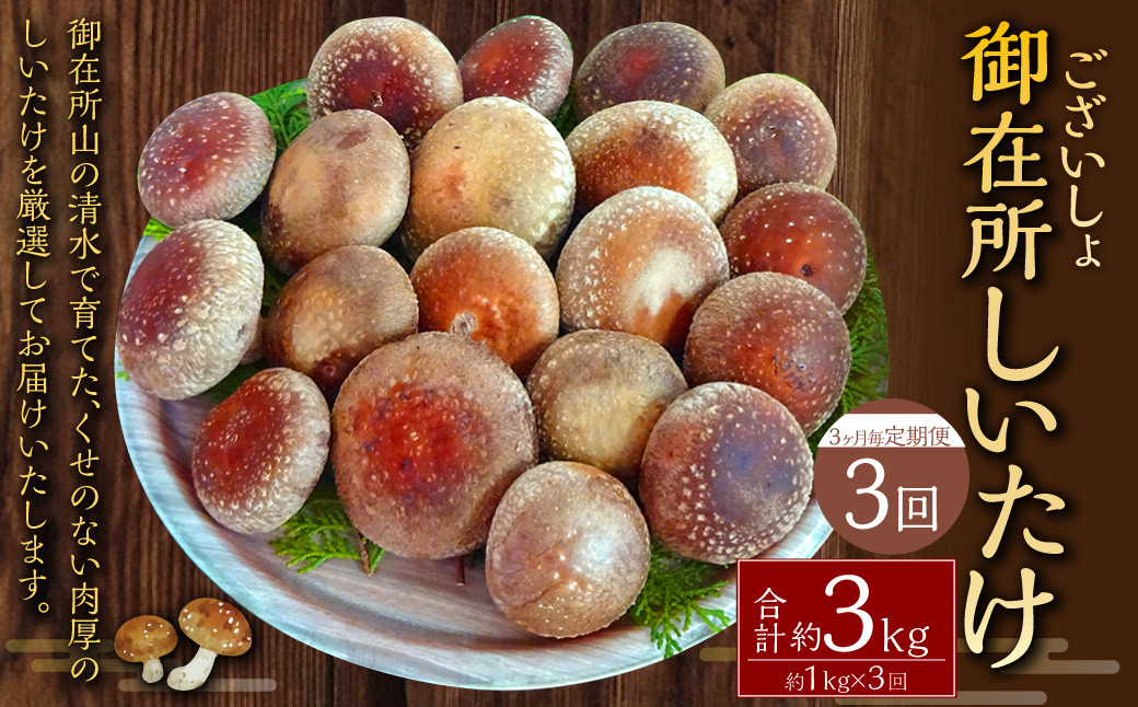 【3ヶ月毎 3回定期便】御在所肉厚生しいたけ 計約3kg 1回あたり約1kg(計3回)