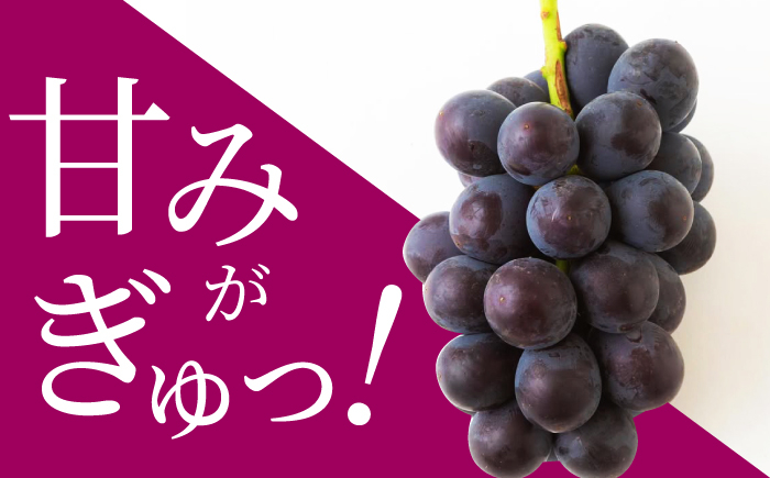 加温ハウスぶどうと幸水梨のセット