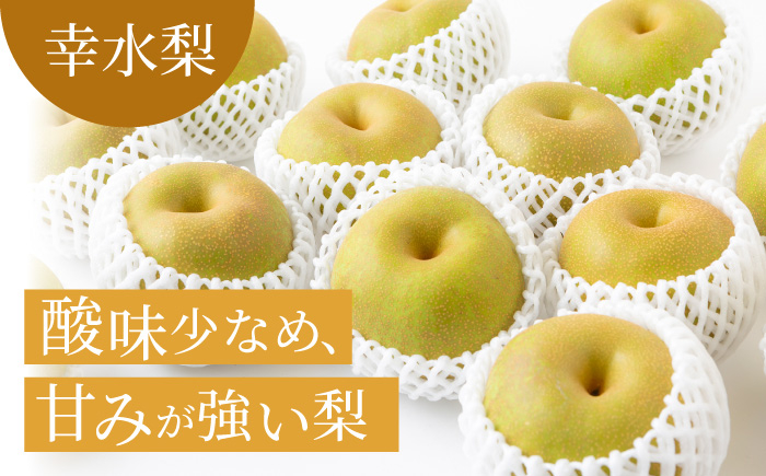 加温ハウスぶどうと幸水梨のセット