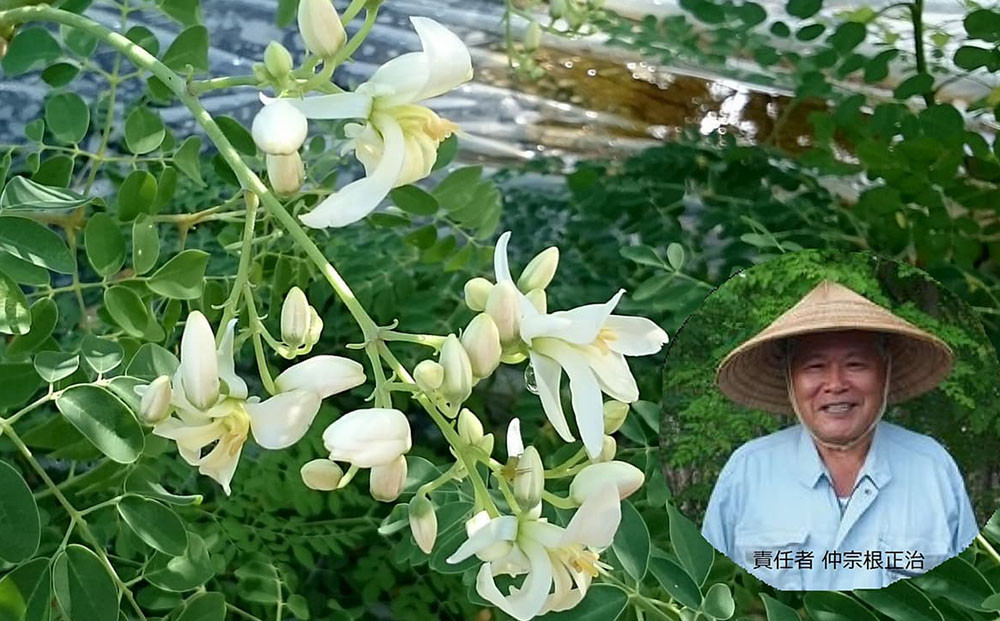 画像はイメージです