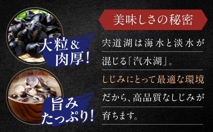 蜆 しじみ シジミ 宍道湖 魚介類 海鮮 貝 しじみ汁 産地直送 新鮮 松江