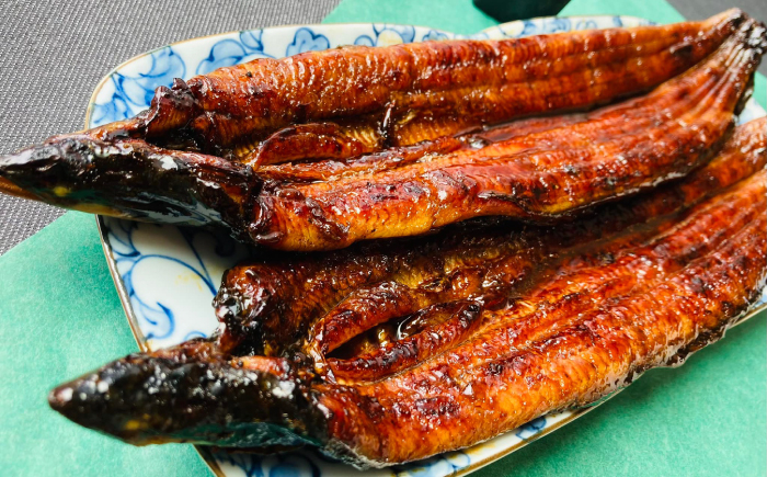 国産 うなぎ ウナギ 鰻 頭付き 蒲焼き 国産 島根 松江 おすすめ 人気