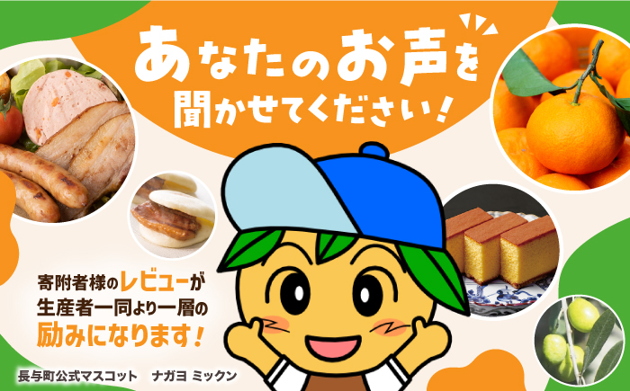  角煮 まぶし 豚丼 豚どん レトルト おかず 小分け 冷凍 長崎岩崎 岩崎本舗 定期 ていき 定期便 ていきびん