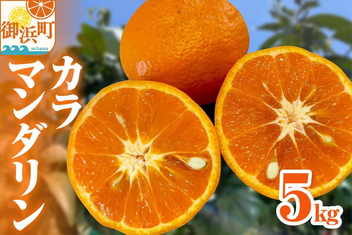 【2026年発送 先行予約品】