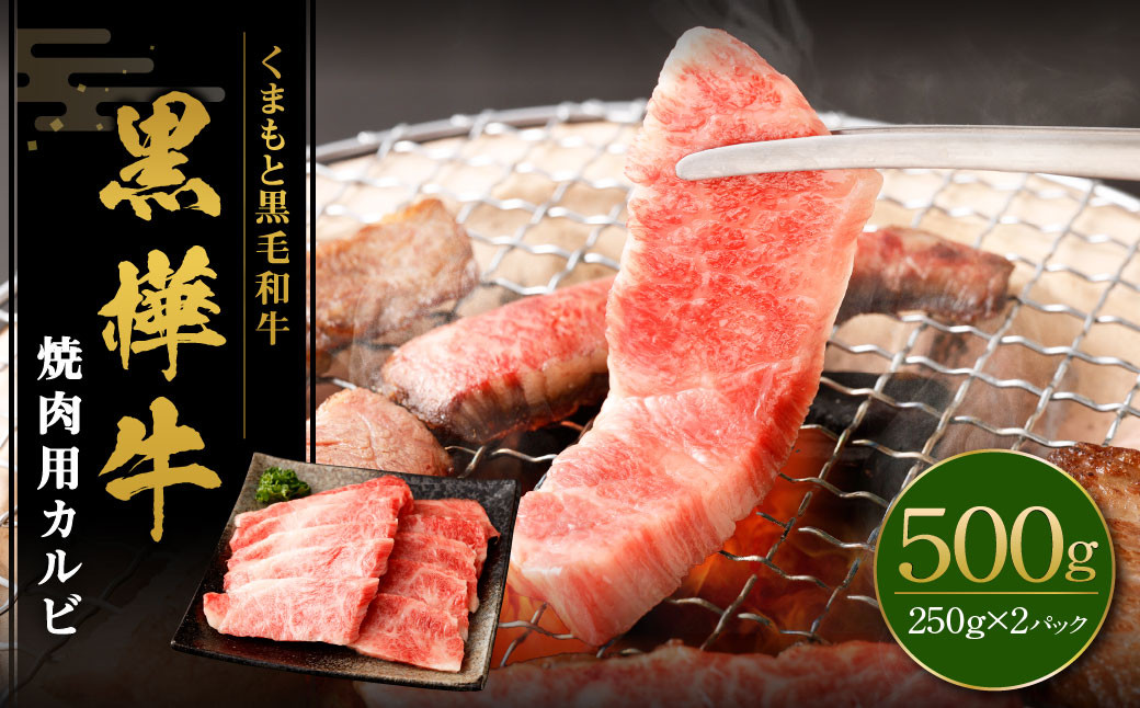 黒樺牛 焼肉用カルビ 500g (250g×2パック)