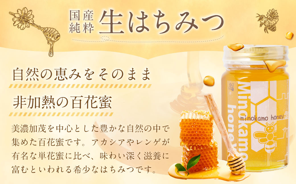 国産 無添加 MINOKAMO HONEY はちみつ 3本（500g×3） 合計1500g