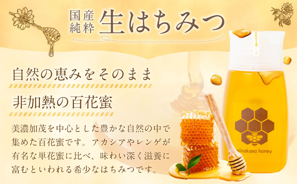 【12ヶ月定期便】国産 無添加 MINOKAMO HONEY はちみつ（300g）×12回
