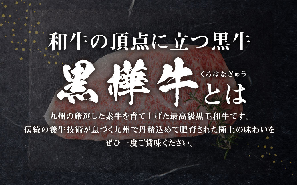 【3回定期便】 黒樺牛 サーロインステーキ 400g