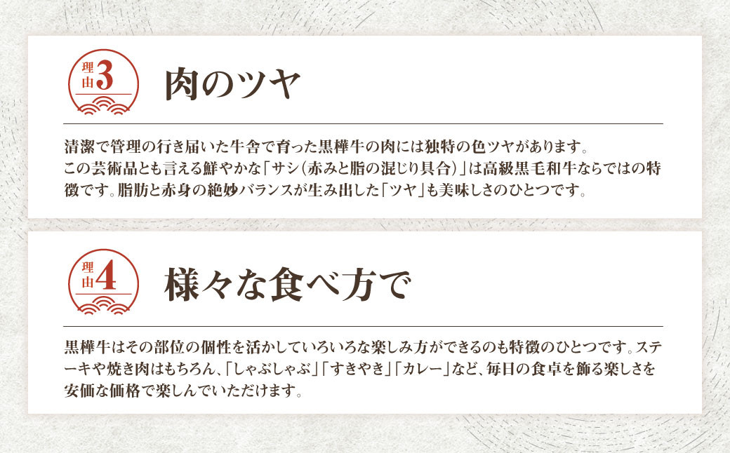【3回定期便】 黒樺牛 サーロインステーキ 400g