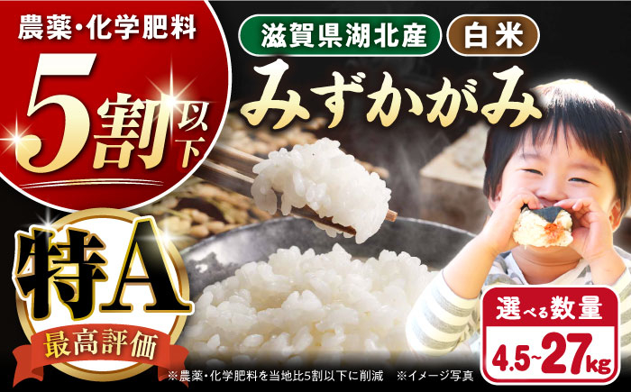 【選べる容量】 滋賀県湖北産 湖北のみずかがみ 4.5・9.0・18・27kg (白米)　米 お米 ご飯 ごはん ゴハン