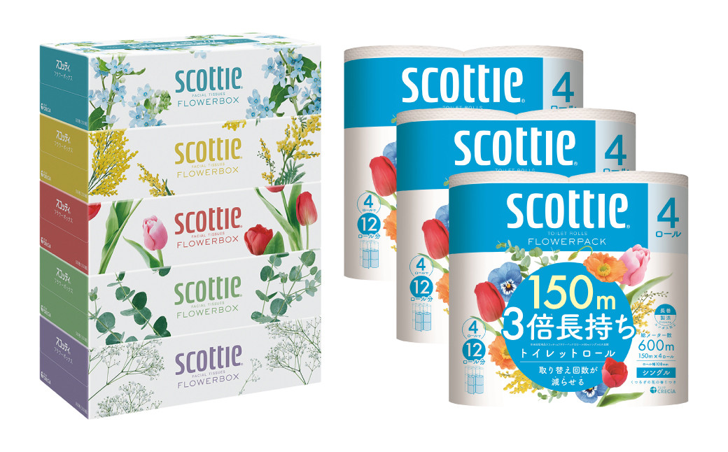 「長持ち」&「コンパクト」になったスコッティ製品をセットにしてお届け!