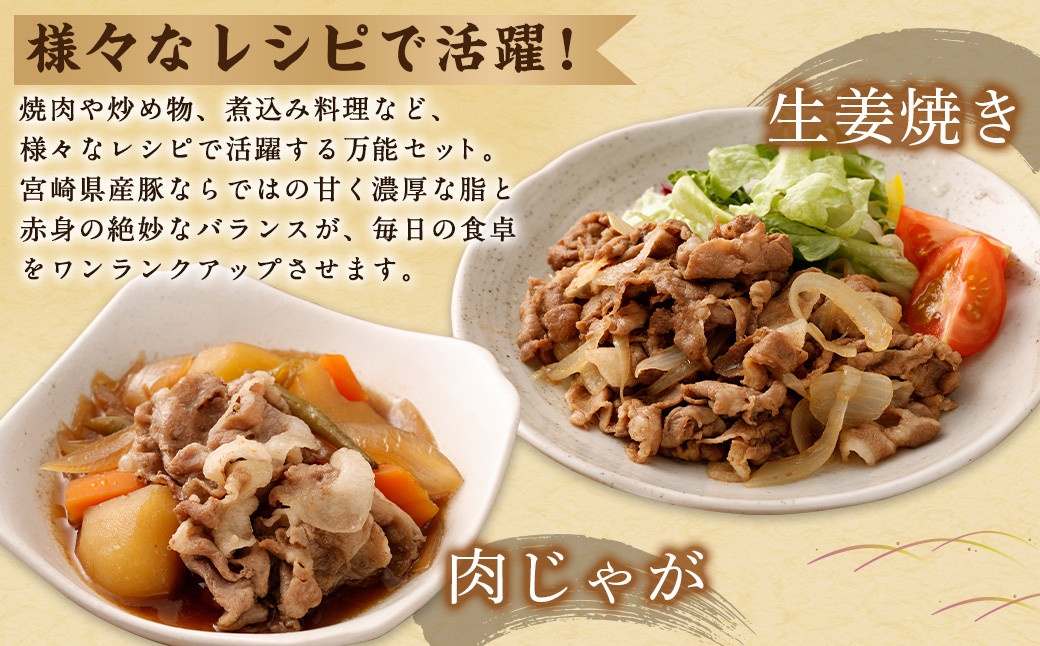 ＜宮崎県産豚バラエティセット2.7kg＞