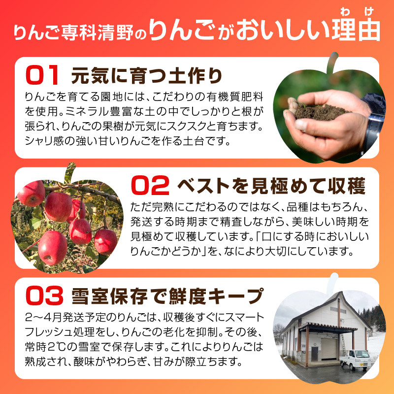 《先行受付》訳あり 大江はるか約3.5kg【2025年12月上旬～発送予定】【大江町産・山形りんご・りんご専科 清野】