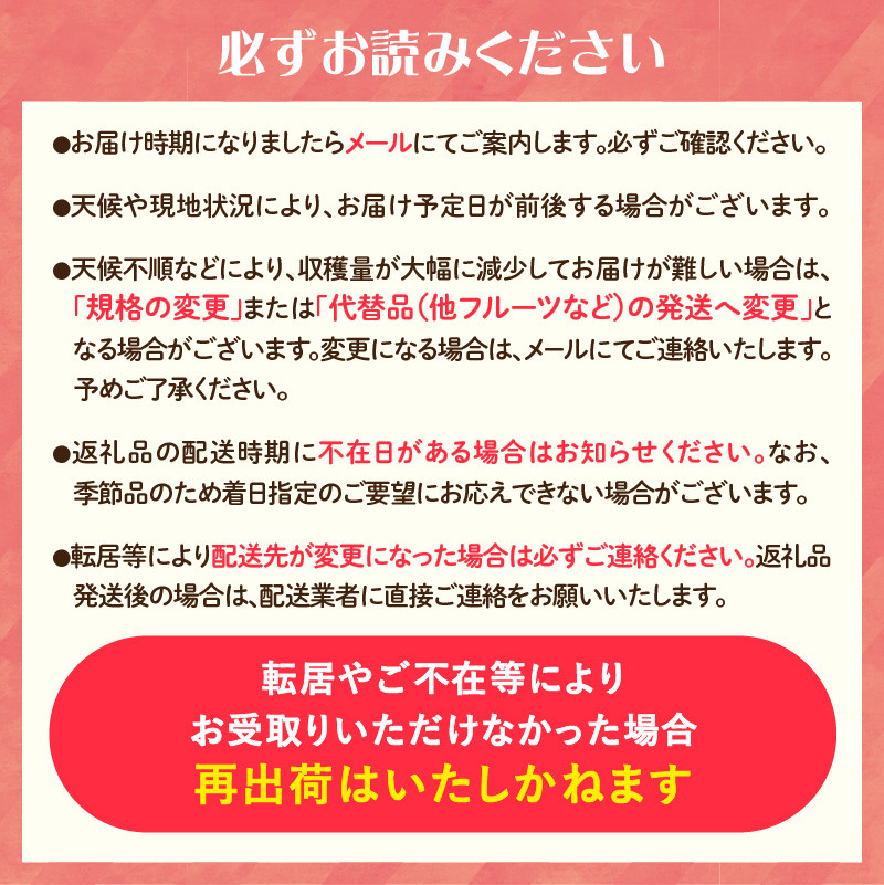 《先行受付》贈答規格 蜜入りプレミアム大江はるか約2.5kg 特秀～秀【2025年12月上旬～発送予定】