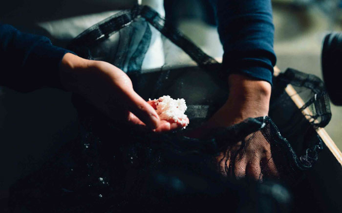 日本酒 飲み比べ セット 純米吟醸 純米大吟醸 ギフト 島根県 雲南市