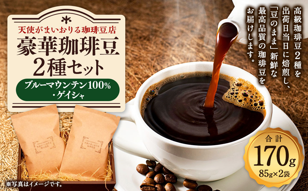 豪華珈琲豆 2種セット ブルーマウンテン100％ ゲイシャ 計2袋 コーヒー
