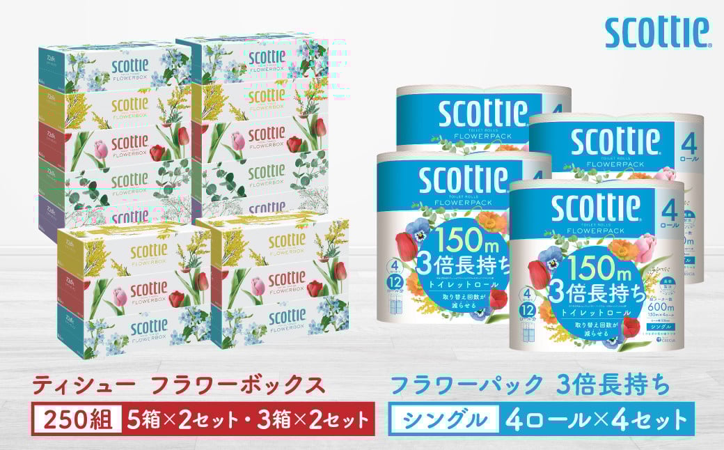 「長持ち」&「コンパクト」になったスコッティ製品をセットにしてお届け!