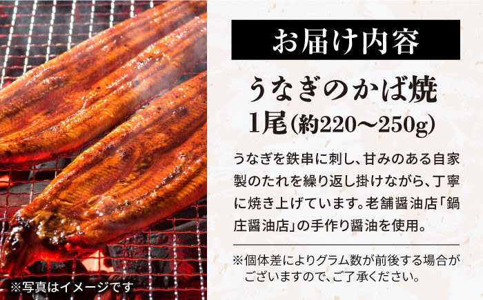 うなぎ 鰻 ウナギ 蒲焼 ギフト ごはん 贈答 おかず